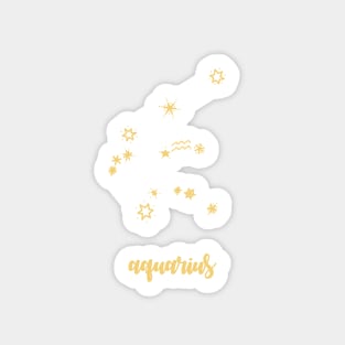 Aquarius  zodiac Sticker